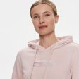 Diffused Box Hoodie - Rose Fashion